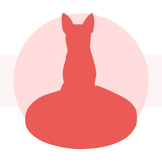 Vollständig anpassbare 1 Tier/Haustier Benutzerdefinierte Wackelköpfe Bobbleheads mit eingraviertem Text