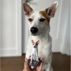 Vollständig anpassbare 1 Tier/Haustier Benutzerdefinierte Wackelköpfe Bobbleheads mit eingraviertem Text