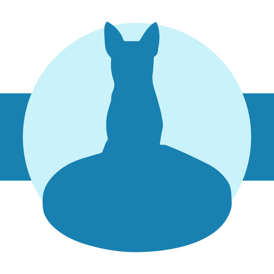 Vollständig anpassbare 1 Tier/Haustier Benutzerdefinierte Wackelköpfe Bobbleheads mit eingraviertem Text